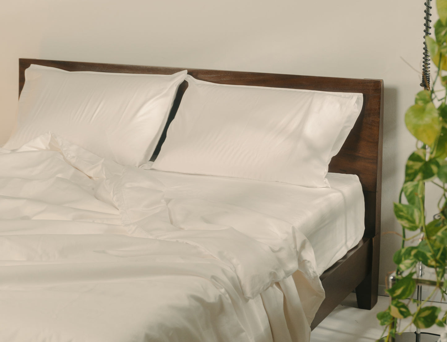 Egyptian Cotton Fitted Sheets