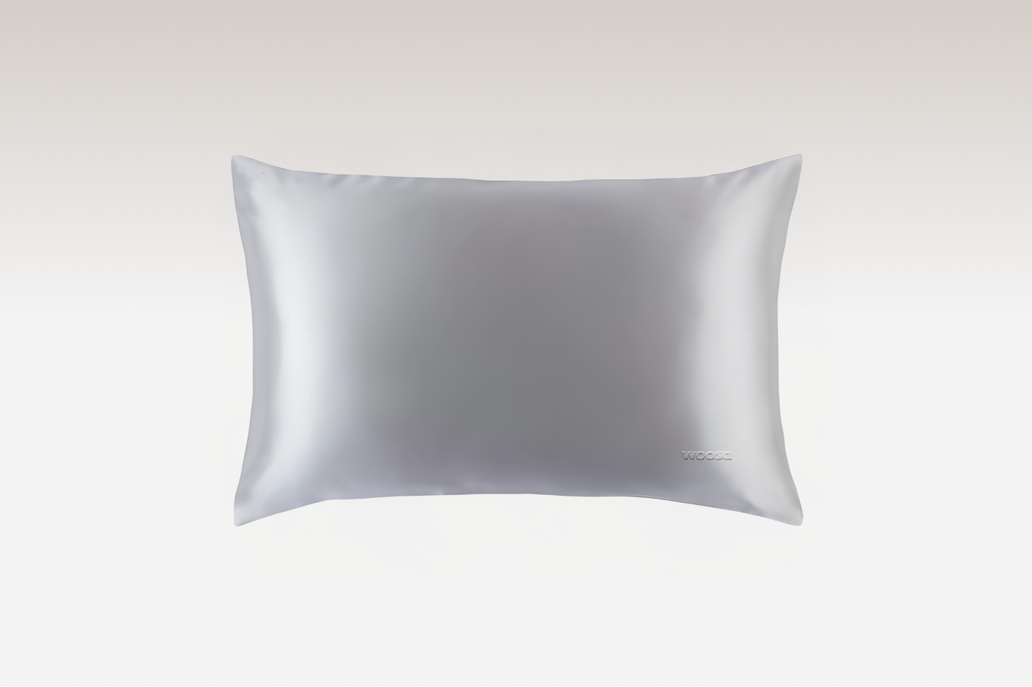 Silk Pillow Case Color: Silver