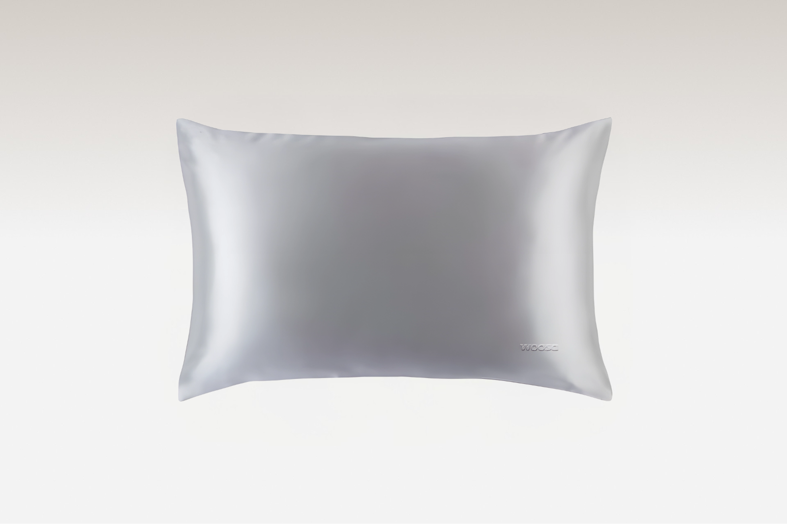 Silk Pillow Case Color: Silver