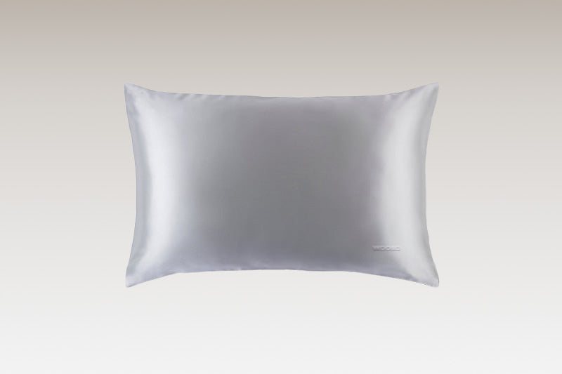 Silk Pillow Case Color: Silver