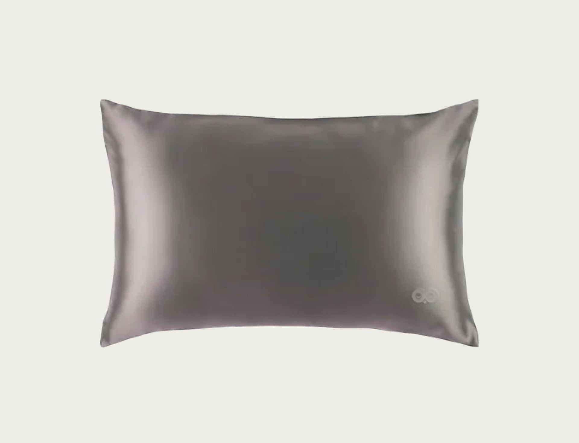 Silk Pillow Case Color: Silver